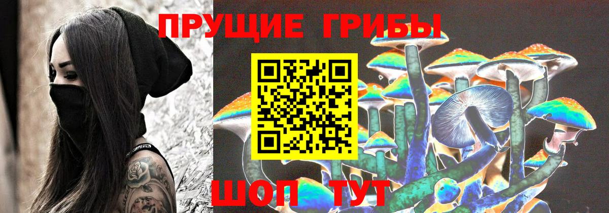 Галлюциногенные грибы мицелий Губаха