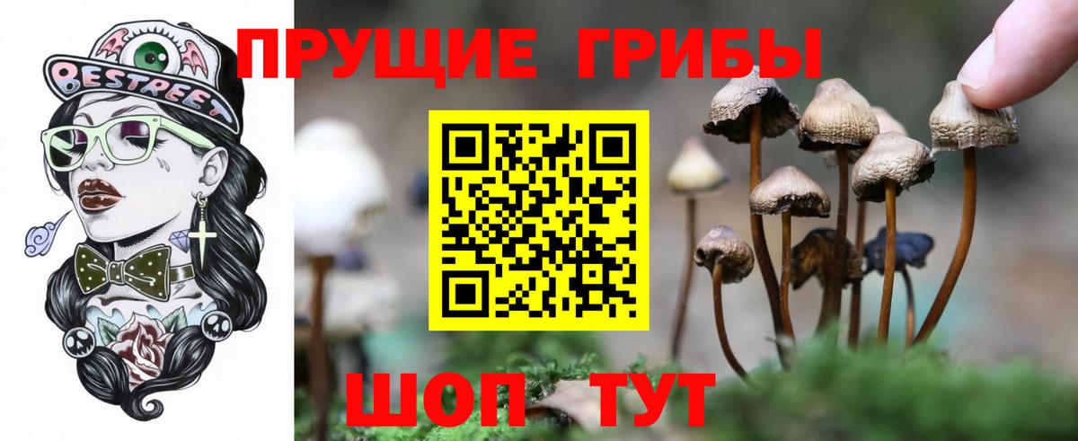 Галлюциногенные грибы Psilocybine cubensis  Вход с VPN  Губаха 